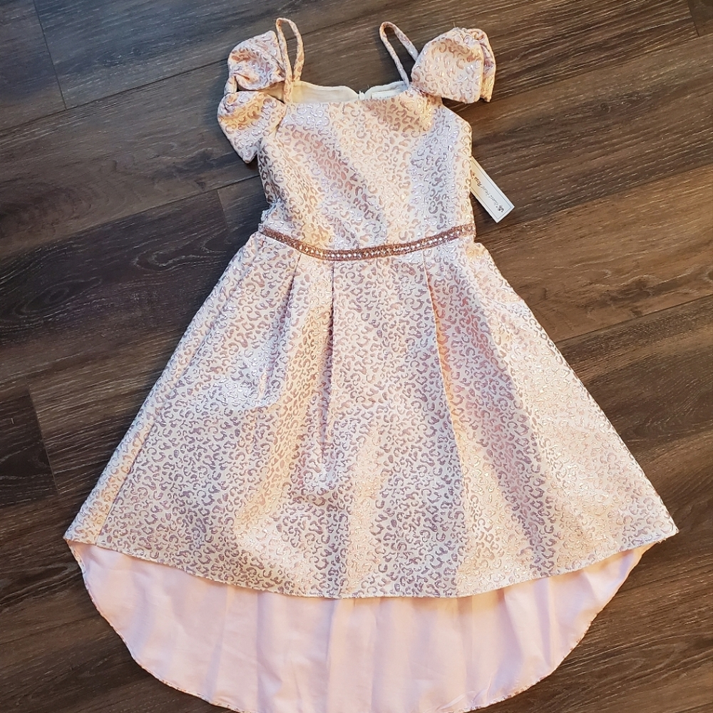 Sweetheart Rose Special Occasion Dress Size 14!